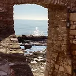 Kaplja Novigrad Istria